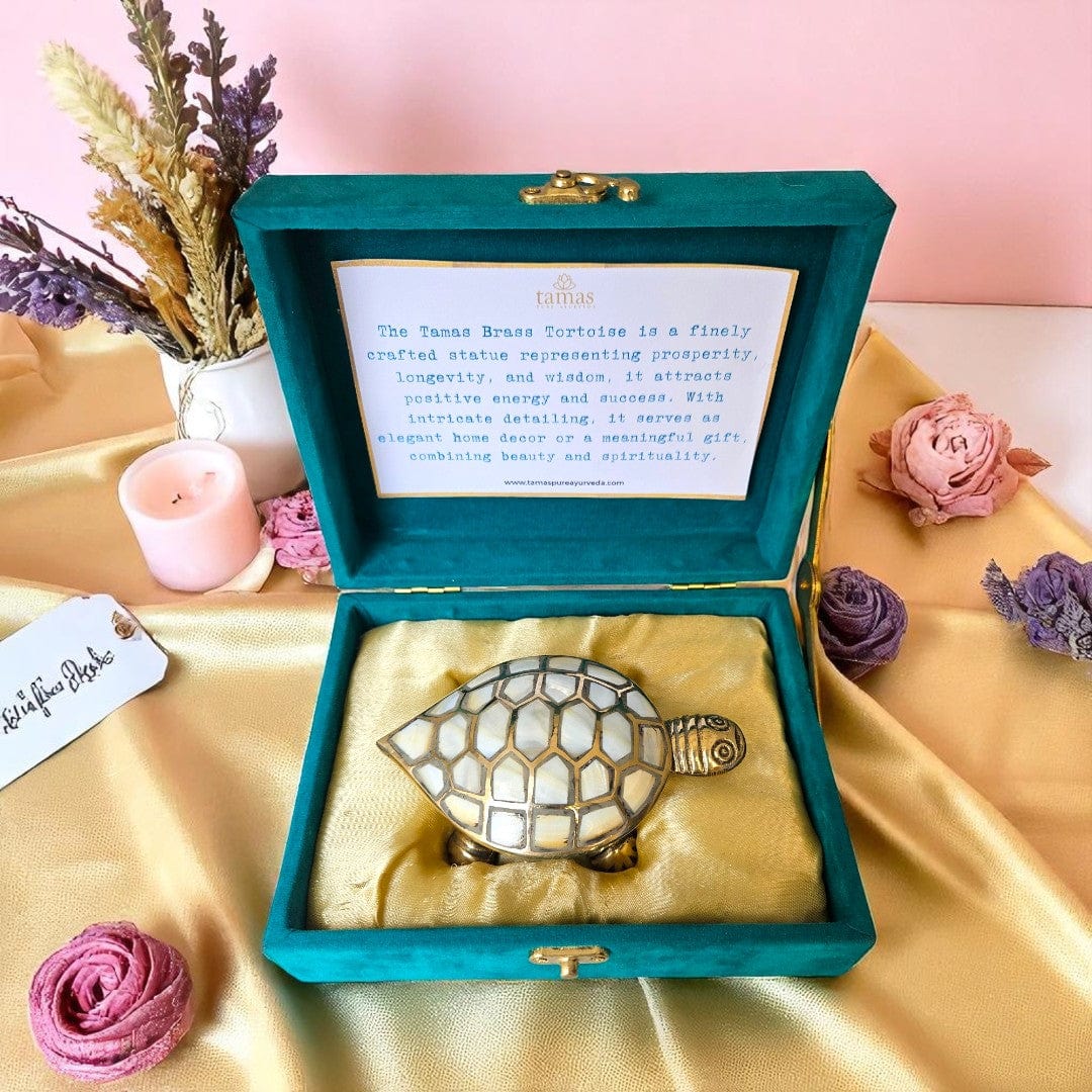 Tamas Pure Brass Wish-Fulfilling Tortoise